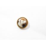 A Victorian enamelled miniature dog portrait brooch, signed and dated on the back W. B.