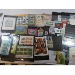 A folder containing 50 miniature sheets of mainly mint and unmounted stamps from Russia,