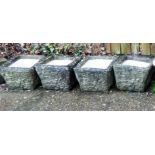 Set of our square concrete garden pots