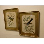 A pair of Victorian/Edwardian feather pictures,