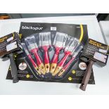 A new ten piece paint brush set,