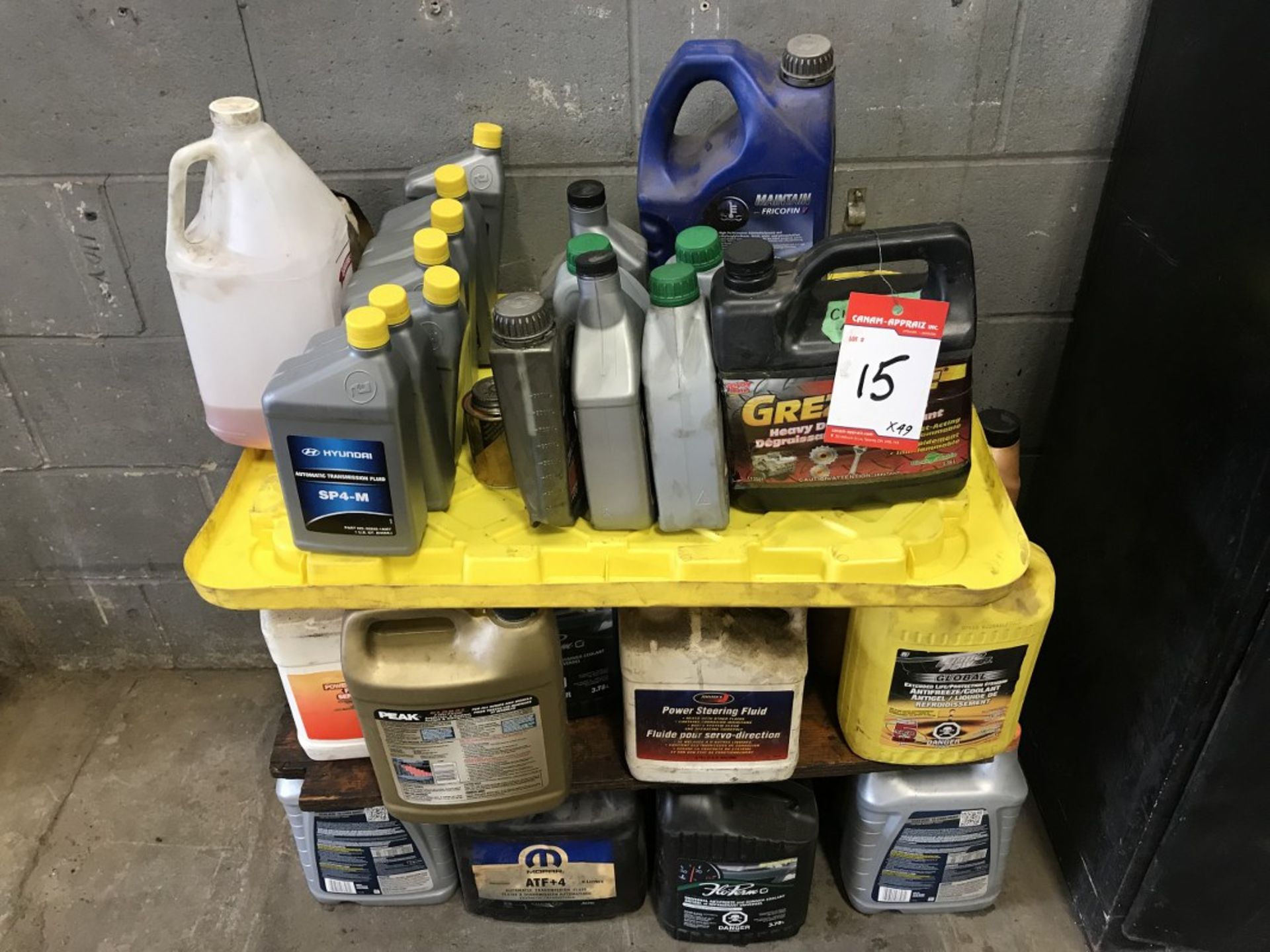 LOT OF ASSORTED VEHICLE FLUIDS