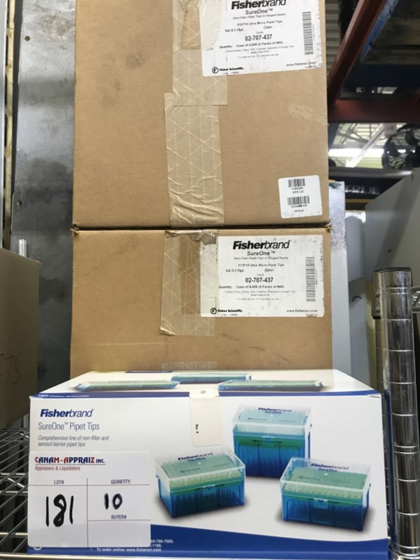 LOT OF: FISHERBRAND SUREONE - P2/P10 ULTRA MICRO PIPET TIPS - 2 BOXES 95 UNITS/BOX)