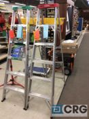 Werner 6 ft. aluminum step ladder with plastic ladder caddy