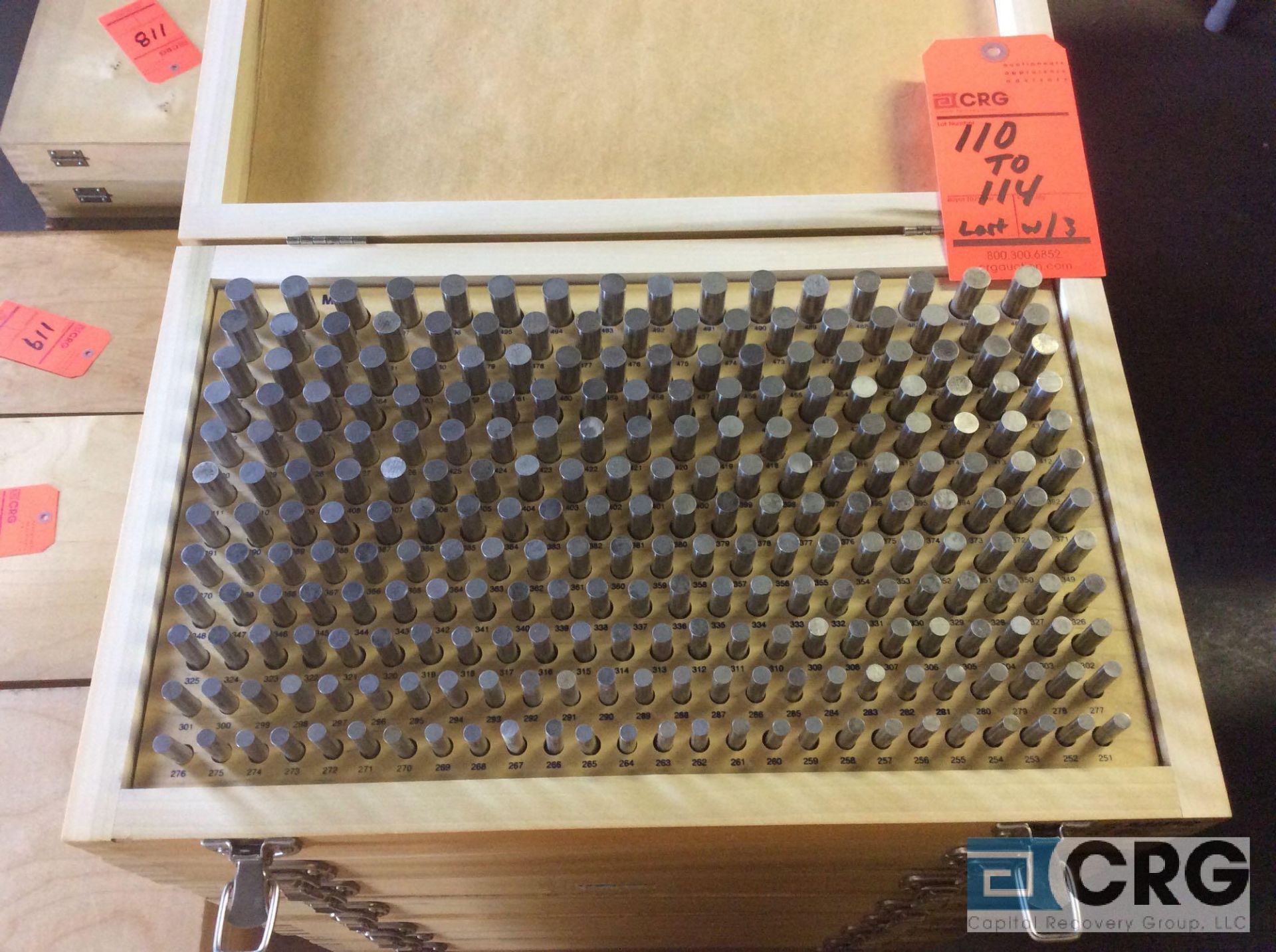 Lot of (2) Pin Gage Plus .0251 - .500 sets