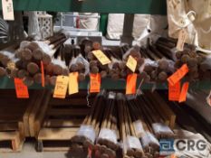 Lot of (10) assorted steel tent stakes