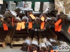 Lot of (10) assorted steel tent stakes.