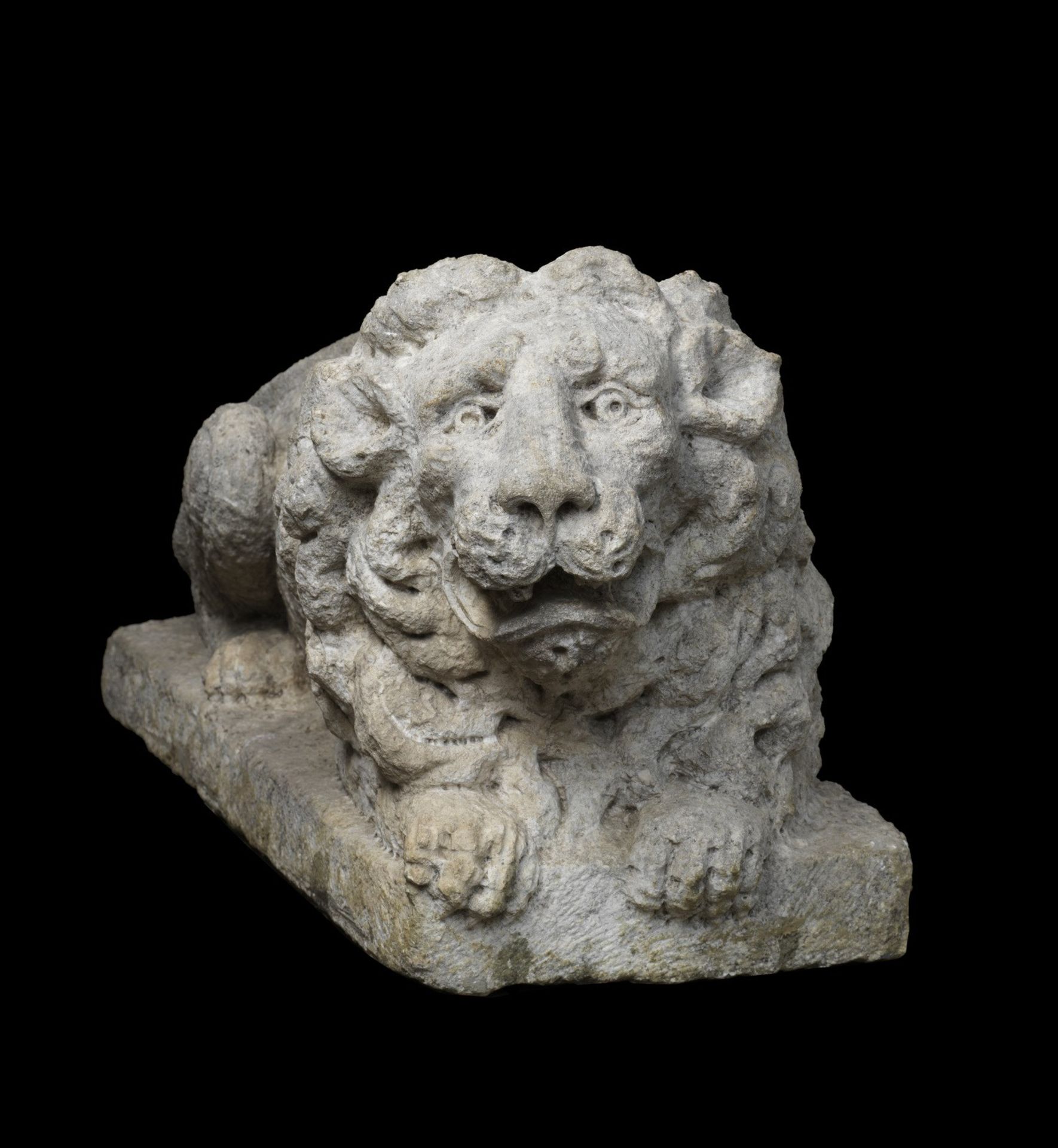 ARTISTA DEL XVI SECOLO Lion in carved stone. - Bild 2 aus 3