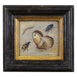 JACOB WOUTERSZ VOSMAER Study of Insects.