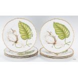 8 Anna Weatherley Porcelain Dinner Plates