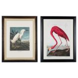 2 prints after John J. Audubon, Princeton