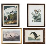 4 Prints after Audubon, Loates