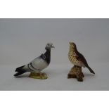 A Beswick Song Thrush, 2308, a Pigeon, blue, 1383B, and other Beswick birds, all gloss, some