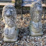 A pair of reconstituted stone lions, 62.5 cm high (2)