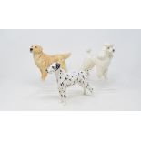 A Beswick Dalmatian, 961, matt, a Poodle, white, 2339, a Golden Retriever, 2287, both gloss, other