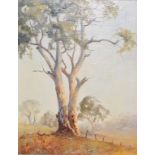 Joy Hanley, Morning Light, 5th Bowenifel's NSW, Australia, oil on canvas laid down, signed, 48.5 x