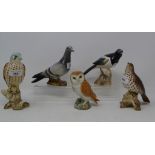 A Beswick Magpie, 2305, a Songthrush, 2308, a Kestrel, 2316, a Pigeon, blue, 1383B, and an Owl,