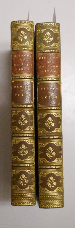 Bewick (Thomas) A History of British Birds, two vols, Newcastle 1832, calf (2) Report by GH Bindings - Image 2 of 2