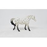A Beswick Appaloosa Spotted Walking Pony, 1516, gloss