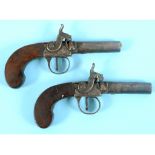 A pair of early 19th century percussion cap muff pistols, David Holland, Cirencester, with