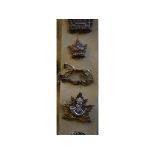 Twenty two cap and collar badges, including Berkshire Yeomanry and 7th London Regiment