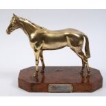 An Italian gilt metal model of a racehorse, on a burr wood plinth, having a plaque engraved A.N.A.C.