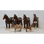 Four Beswick Shire Mares, brown, 818, two repaired, a Donkey, 1364B, and a Donkey Foal, 2110, all