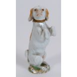 A Meissen porcelain scent bottle and stopper, in the form of a begging dog, 7.5 cm high See