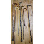 A silver mounted swagger stick, a horn vertebrae style walking stick, and four other sticks (6)