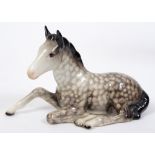 A Beswick Foal, lying, rockinghorse grey, 915, gloss See illustration