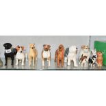 Seven Beswick dogs, including Boxer, brindle, 1202, and Greyhound 972, two other dogs, 1854 and