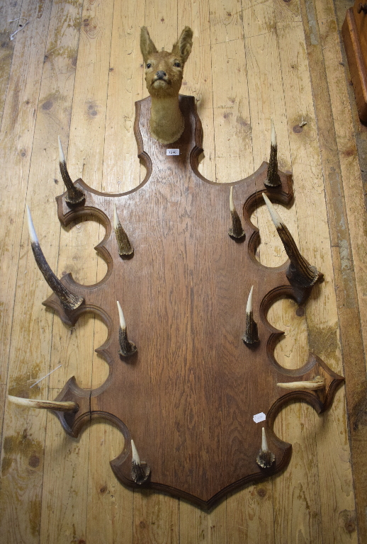 An oak and antler point hat stand, with doe's head terminal, 78 cm wide