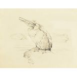 Harrison William Weir (1824-1906), a Pelican 1893, pen and ink, signed and dated, label verso, 13