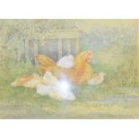 George Beningfield, a Buff Orphington Hen with her chicks, watercolour, signed, 23 x 31 cm Report by