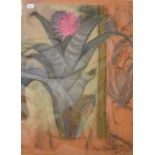 Rudolf Helmut Sauter (1895-1977), a study of a flowering succulent, pastel, signed and dated 1962,