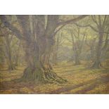 C Dear (?), White's Copse, Burley, New Forest, oil on board, indistinctly signed, 25.5 x 35 cm