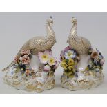 A pair of Derby peacocks, with gilt decoration, on floral encrusted bases, some loss, 18 cm high (2)