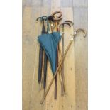 A Liberty parasol, other parasols and assorted walking sticks (qty)