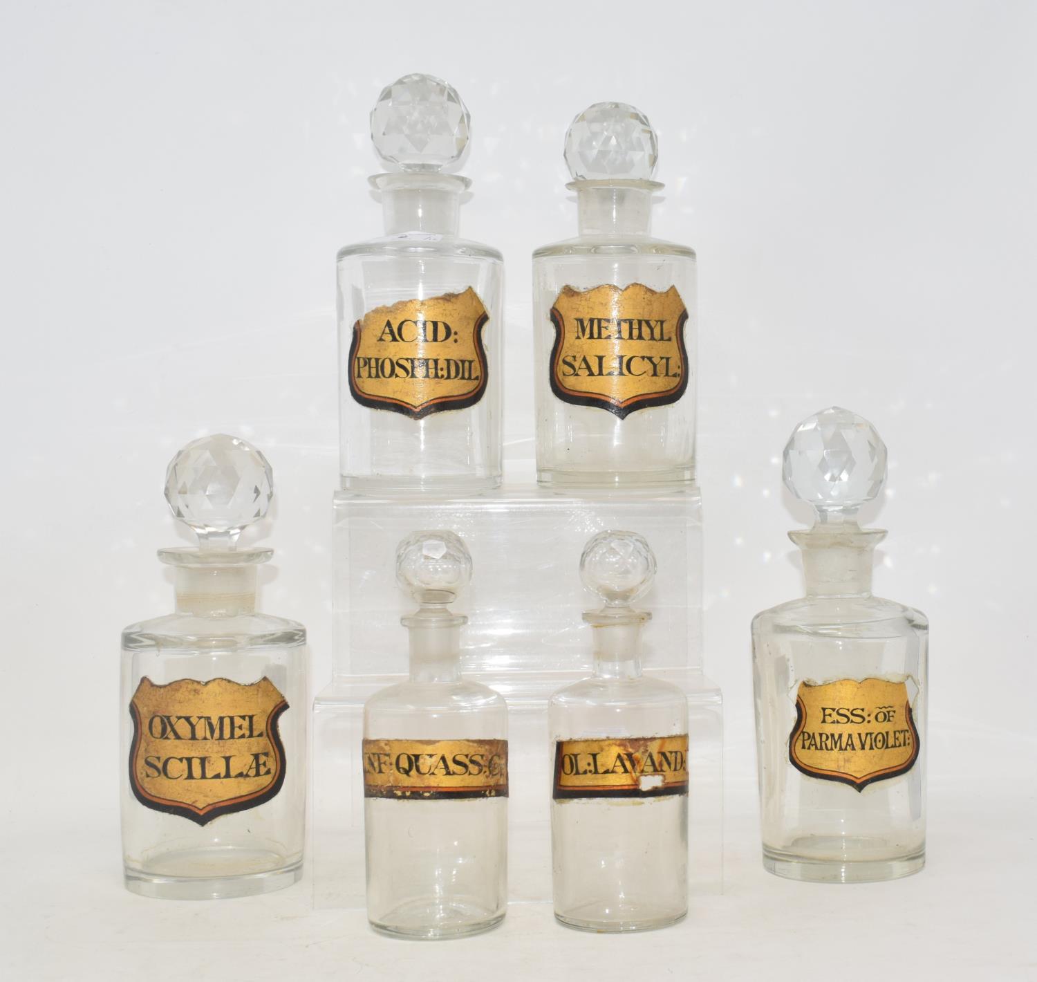 A set of six Victorian/Edwardian clear glass apothecary bottles, with gilt labels and cut glass