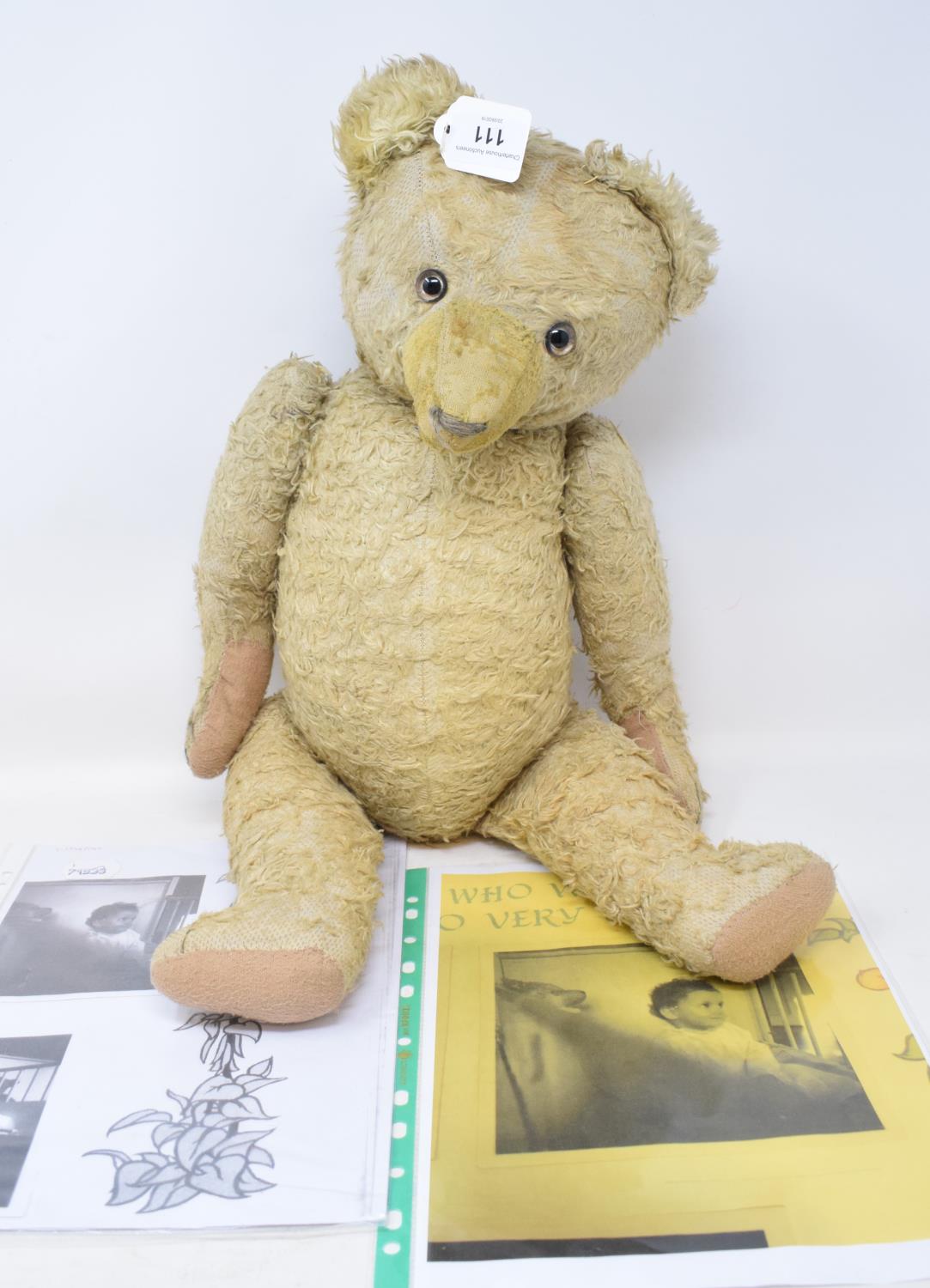An English plush jointed teddy bear, 16 cm high, with copies of photographs with his owner circa