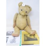 An English plush jointed teddy bear, 16 cm high, with copies of photographs with his owner circa