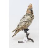 A painted bronze cockatoo, perched on a branch, 31 cm high Modern