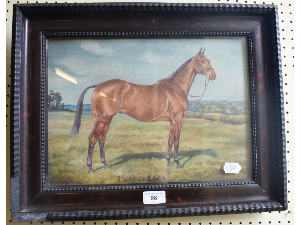 Olive Whitmore, a portrait of a horse, Switchback, oil on canvas, signed and inscribed, Dublin