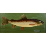 William Anstice Brown (1928-2007), a brown trout, oil on panel, signed and dated 1964, inscribed