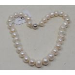 A string of cultured white pearls, with a 9ct white gold ball clasp