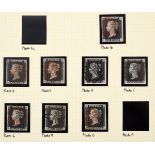 A collection of eight penny blacks, all four margins, plates 1b, 2, 3, 4, 5, 6, 7, & 8 See