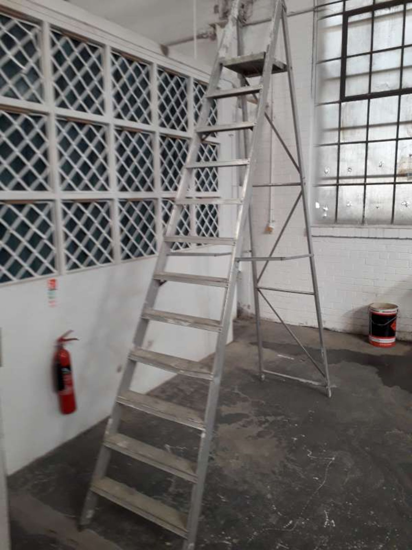 1 X TWELVE RUNG ALUMINIUM STEP LADDER.