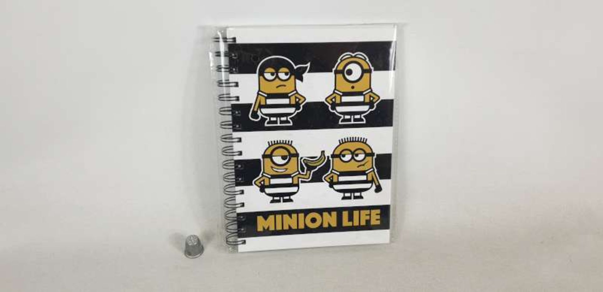 120 X DESPICABLE ME A5 HARDSHELL SPIRAL NOTEBOOKS IN 5 BOXES