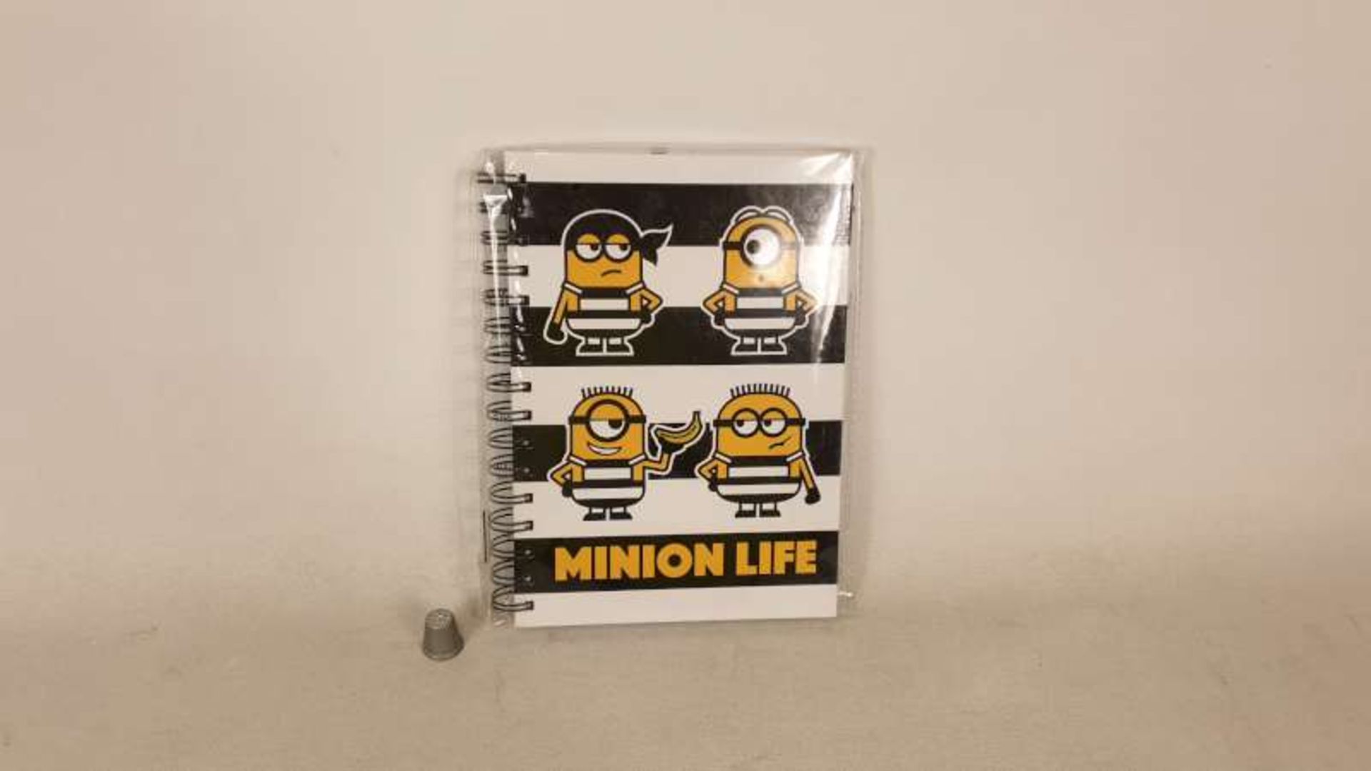 120 X DESPICABLE ME A5 SPIRAL NOTEBOOKS IN 5 BOXES