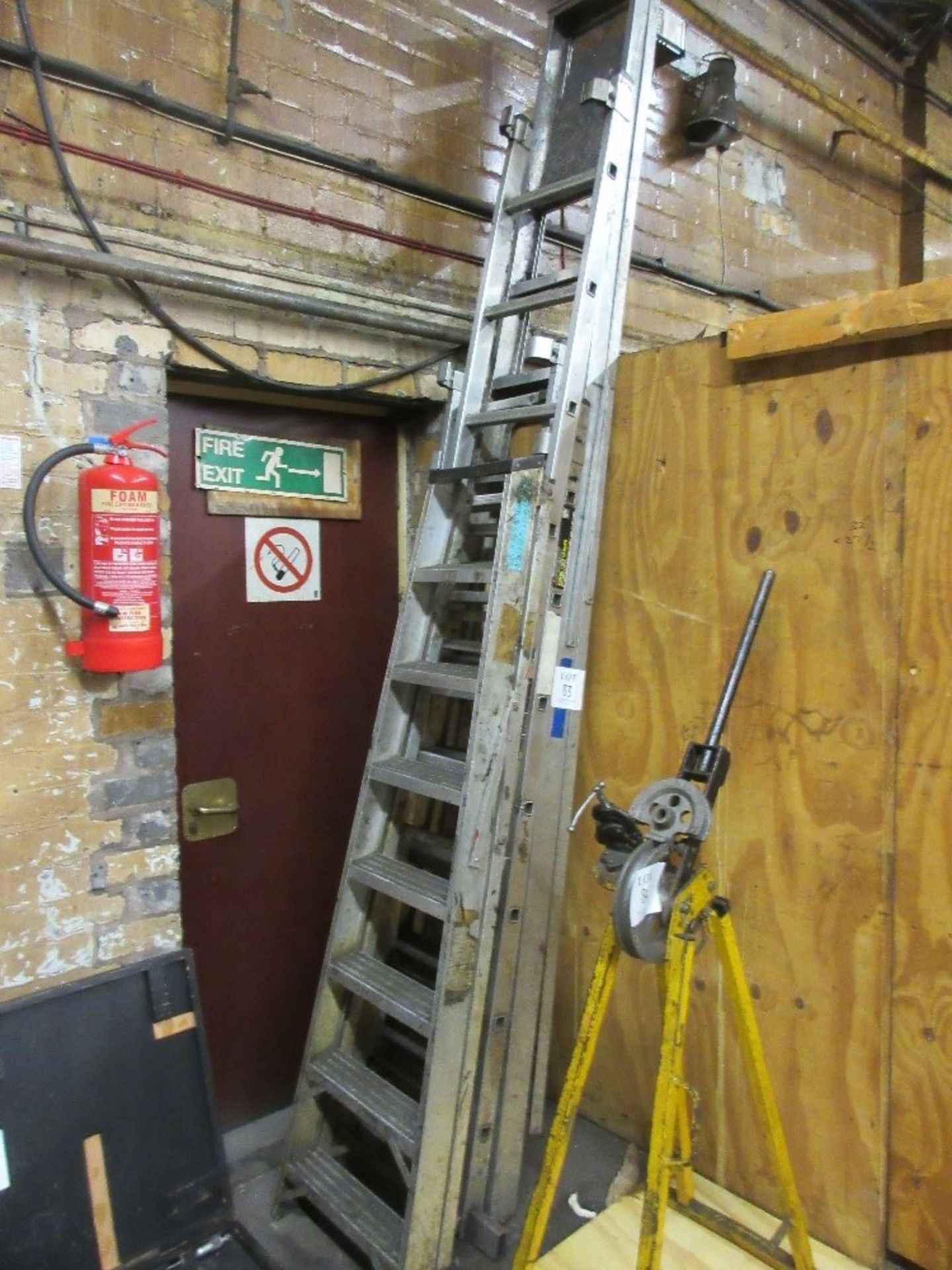 8 rung aluminium step ladder and 20 rung extending ladder